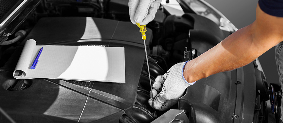 Mechanic doing a service on a vehicle - Car Servicing Christchurch